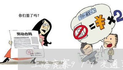 上海鹿寨911交通事故/2023021596058 上海鹿寨911交通事故/2023021596058