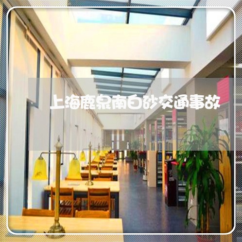 上海鹿泉南白砂交通事故/2023021584604 上海鹿泉南白砂交通事故/2023021584604
