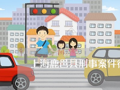 上海鹿邑县刑事案件律师/2023021534826 上海鹿邑县刑事案件律师/2023021534826