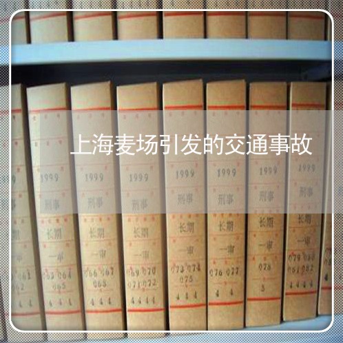上海麦场引发的交通事故/2023021529368 上海麦场引发的交通事故/2023021529368