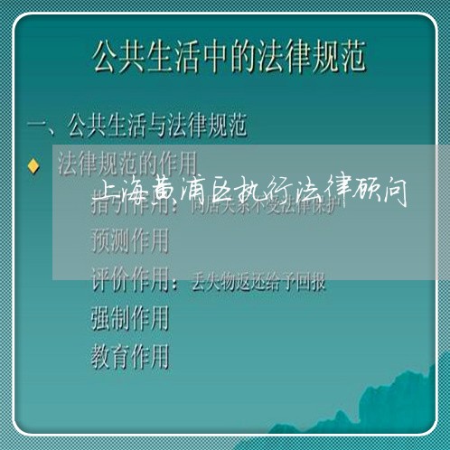 上海黄浦区执行法律顾问/2023061861614