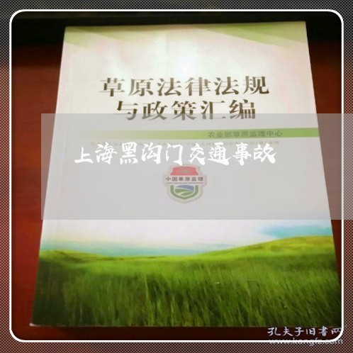 上海黑沟门交通事故/2023032406947
