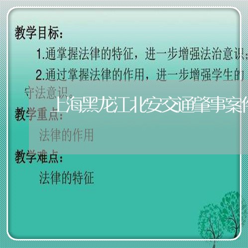上海黑龙江北安交通肇事案件/2023032148361 上海黑龙江北安交通肇事案件/2023032148361