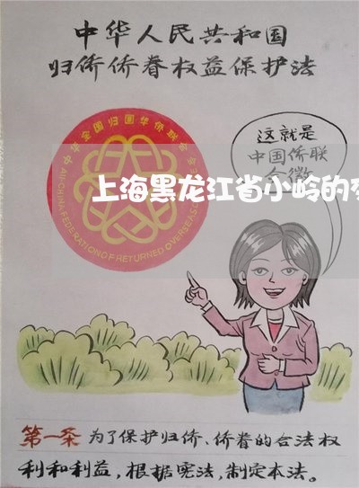 上海黑龙江省小岭的交通事故/2023032170572 上海黑龙江省小岭的交通事故/2023032170572