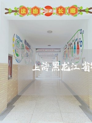 上海黑龙江省鹤岗市刑事律师/2023032105050