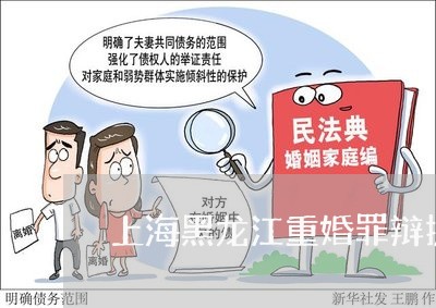 上海黑龙江重婚罪辩护律师地址/2023041574461