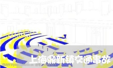 上海鼎新镇交通事故/2023032441493