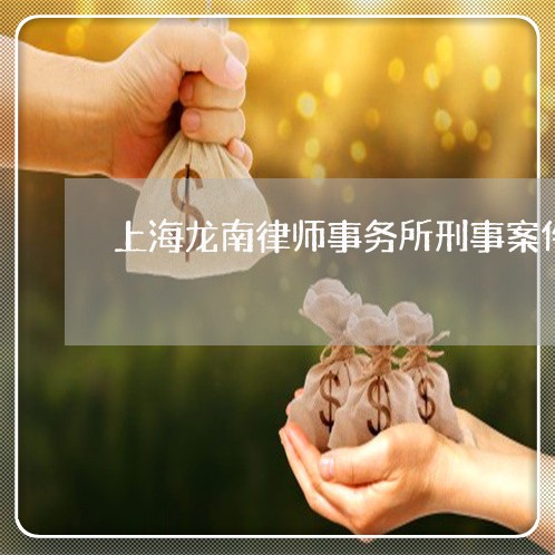 上海龙南律师事务所刑事案件/2023032195047 上海龙南律师事务所刑事案件/2023032195047