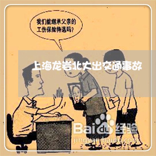 上海龙岩北大出交通事故/2023021527158 上海龙岩北大出交通事故/2023021527158