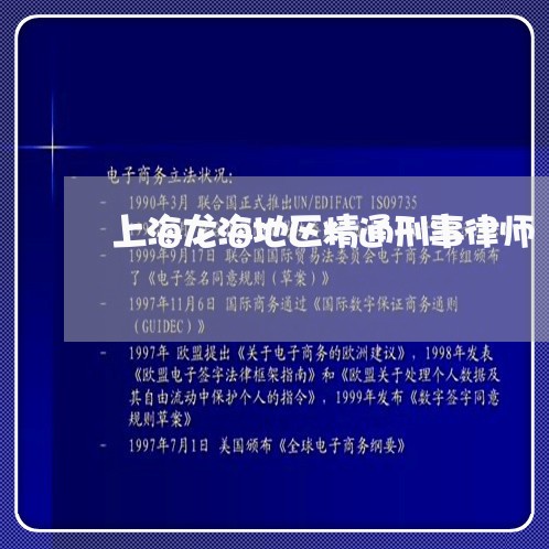 上海龙海地区精通刑事律师/2023031874947