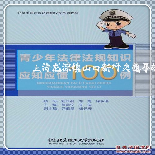 上海龙漂镇山口新圩交通事故/2023032136270