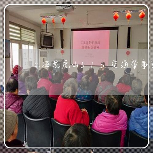 上海龙虎山515交通肇事案/2023032140483