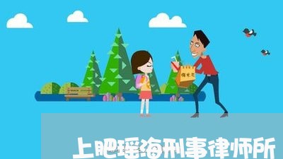 上肥瑶海刑事律师所/2023022684805 上肥瑶海刑事律师所/2023022684805