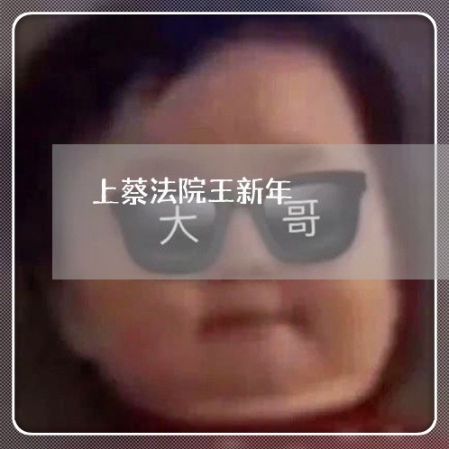上蔡法院王新年 上蔡法院王新年