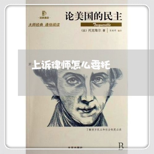 上诉律师怎么委托/2023032141782 上诉律师怎么委托/2023032141782