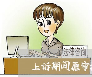 上诉期间原审法院发现错误