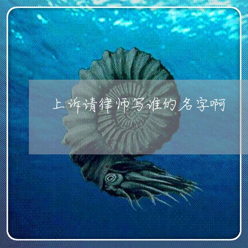 上诉请律师写谁的名字啊/2023060185169