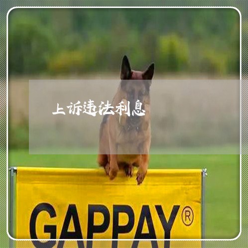 上诉违法利息