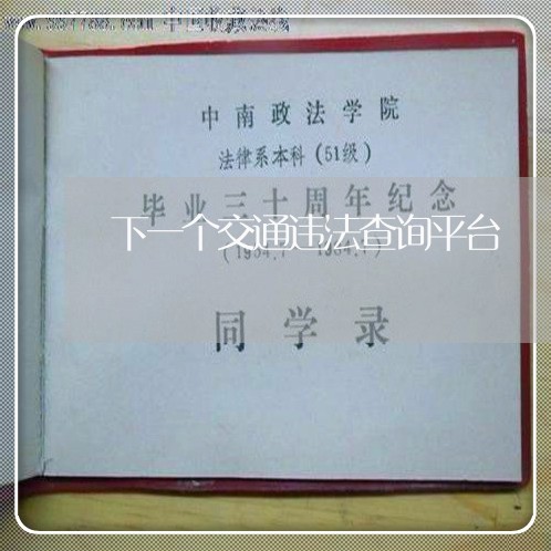 下一个交通违法查询平台 下一个交通违法查询平台