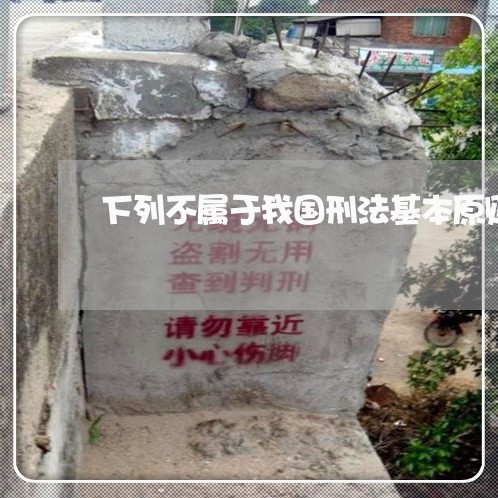 下列不属于我国刑法基本原则