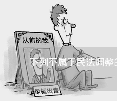 下列不属于民法调整的社会关系