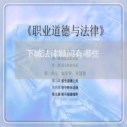下城法律顾问有哪些/2023061841373