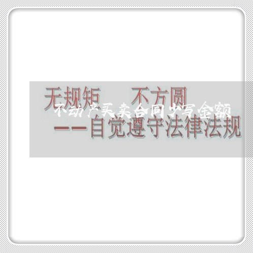 不动产买卖合同少写金额/2023060564915