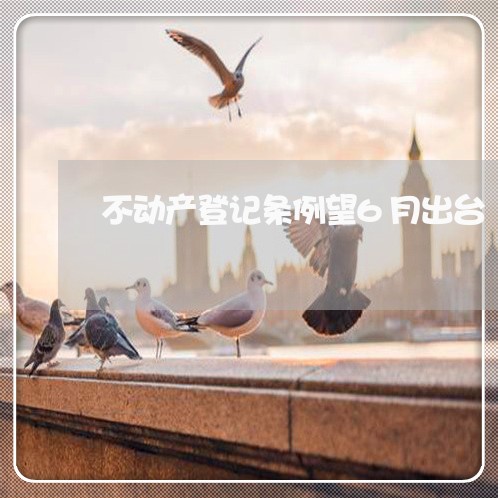 不动产登记条例望6月出台