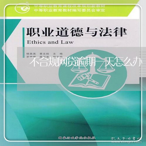 不合规网贷逾期一天怎么办/2023111691603