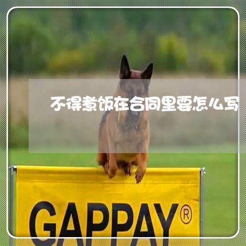 不得煮饭在合同里要怎么写/2023041738061