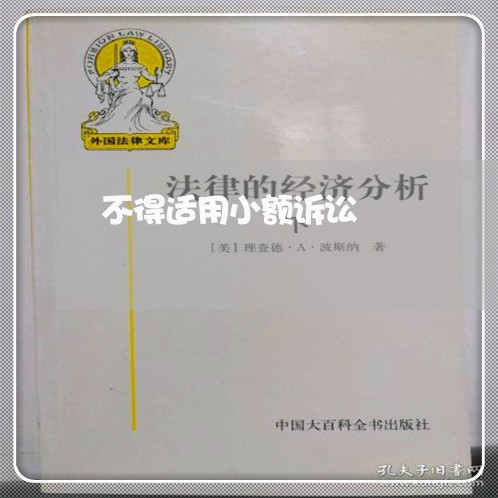 不得适用小额诉讼