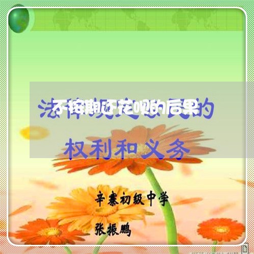 不按期还花呗的后果/2023092837259