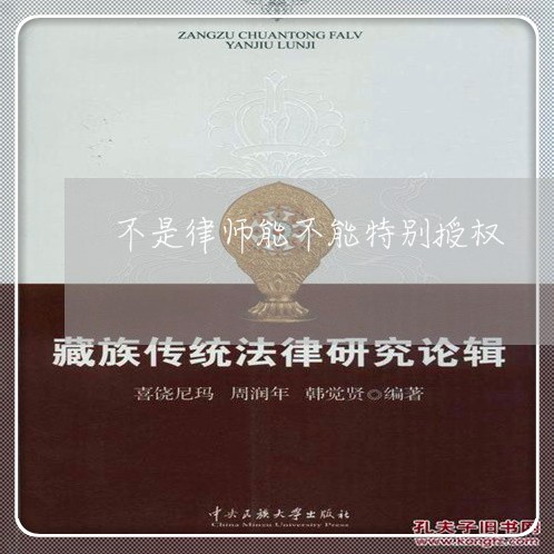 不是律师能不能特别授权/2023042584927