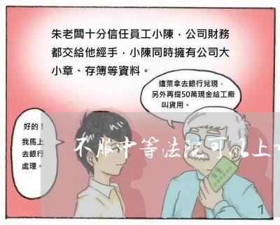 不服中等法院可以上诉吗