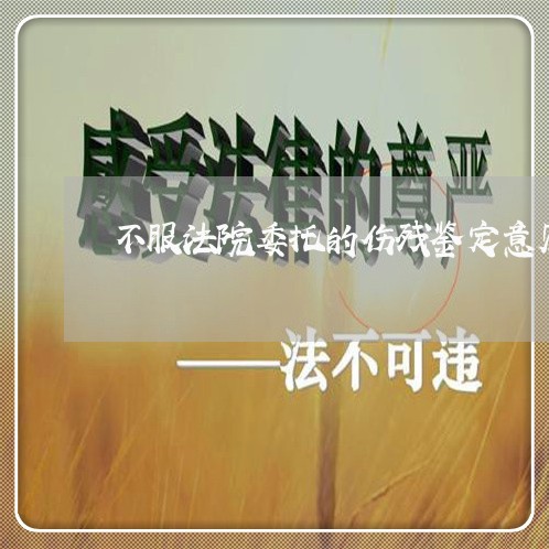 不服法院委托的伤残鉴定意见