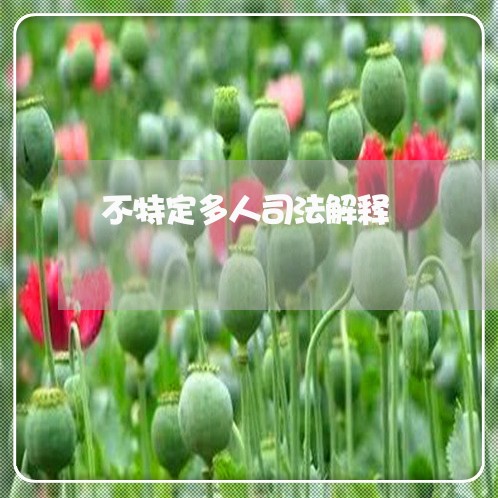 不特定多人司法解释 不特定多人司法解释