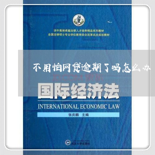 不用怕网贷逾期了吗怎么办/2023120441289