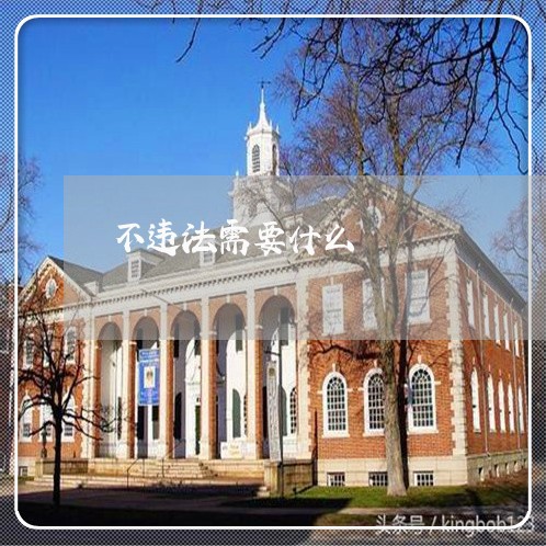 不违法需要什么