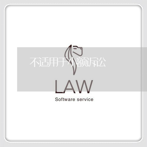 不适用于小额诉讼 不适用于小额诉讼