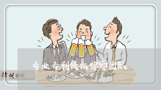 专业专利侵权律师团队 专业专利侵权律师团队