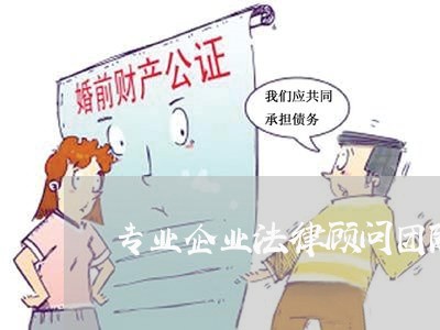 专业企业法律顾问团队 专业企业法律顾问团队