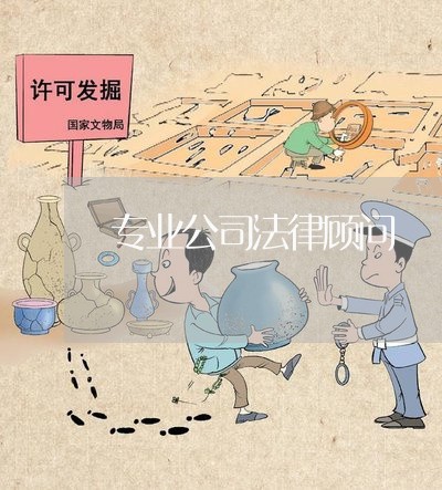 专业公司法律顾问/2023061671404