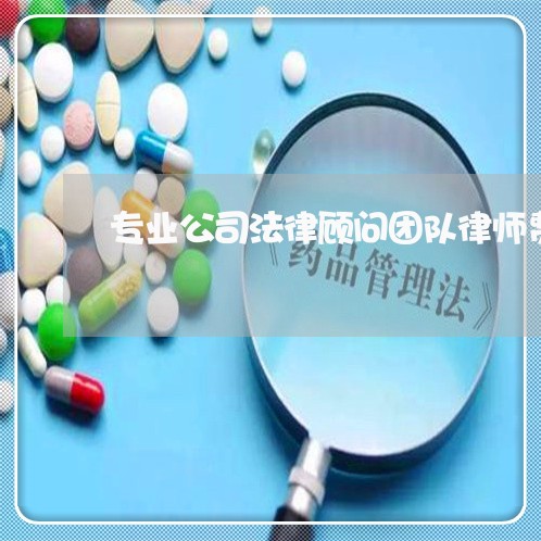专业公司法律顾问团队律师费用 专业公司法律顾问团队律师费用