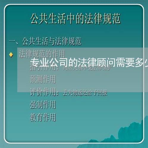 专业公司的法律顾问需要多少钱