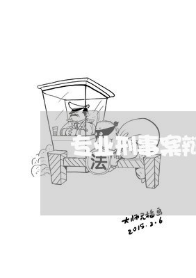 专业刑事案辩护律师咨询网站