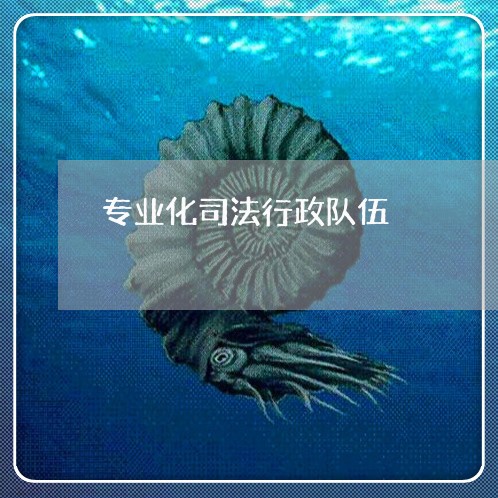 专业化司法行政队伍