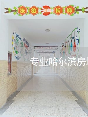 专业哈尔滨房地产律师业务