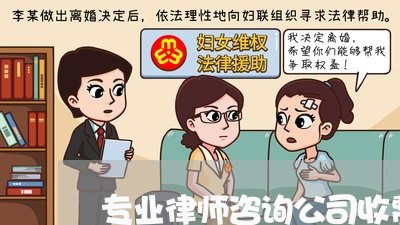 专业律师咨询公司收费合理!