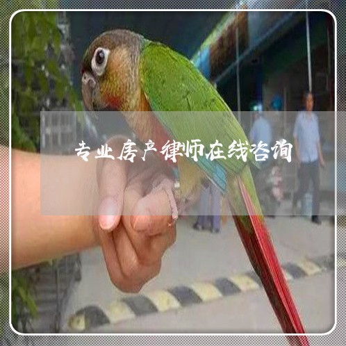 专业房产律师在线咨询 专业房产律师在线咨询