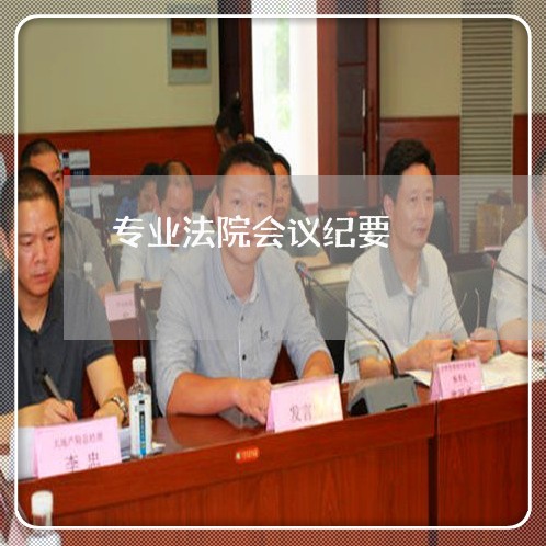 专业法院会议纪要 专业法院会议纪要